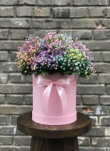 Цветочная композиция из Гипсофила и Розы в шляпной коробке в Новокручининске