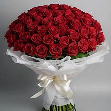 Букет 101 Красная роза Блэк Мэджик в Новокручининске