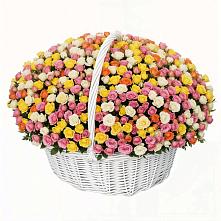 Премиум букет из: Розы в Новокручининске