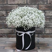 Цветочная композиция из Гипсофила в шляпной коробке в Новокручининске