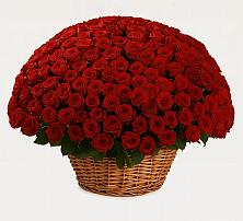 Премиум букет из: Розы #REPLACE_PRED# Новокручининске