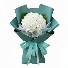 Букет цветов из:  Гортензия в Новокручининске